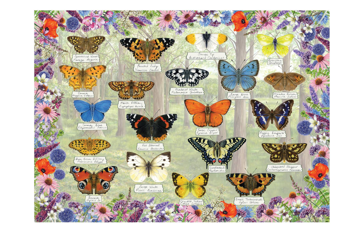 Gibsons Beautiful Butterflies Jigsaw Puzzle - 1000 Pieces - Image 2