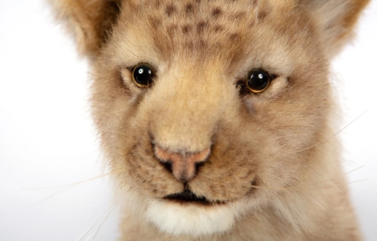 Hansa Lion Cub Standing 40cm Soft Toy - Image 2